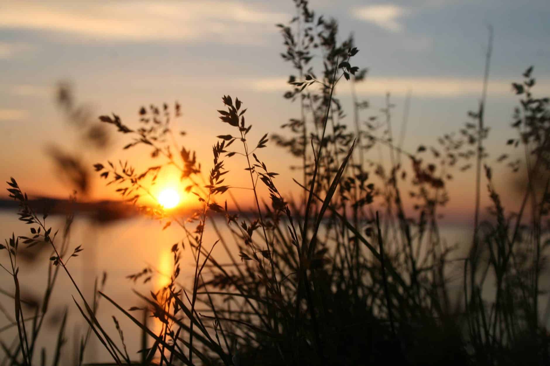 Sunset in Foz do Iguacu