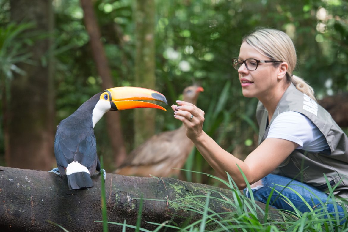 Tourist at Parque das Aves in Foz do Iguaçu