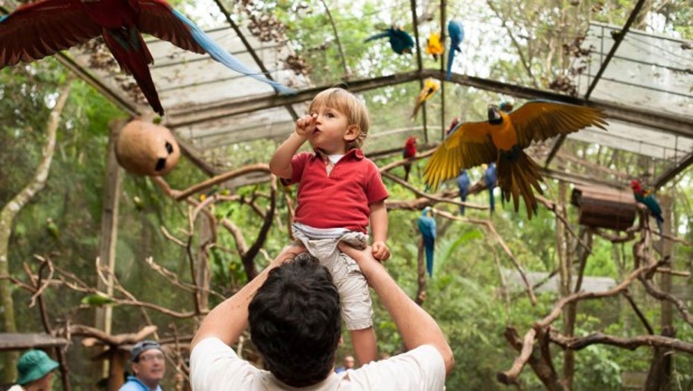 Foz do Iguaçu with the kids - Parque das Aves