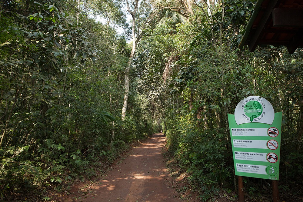 Banana Tree Trail - Iguaçu National Park