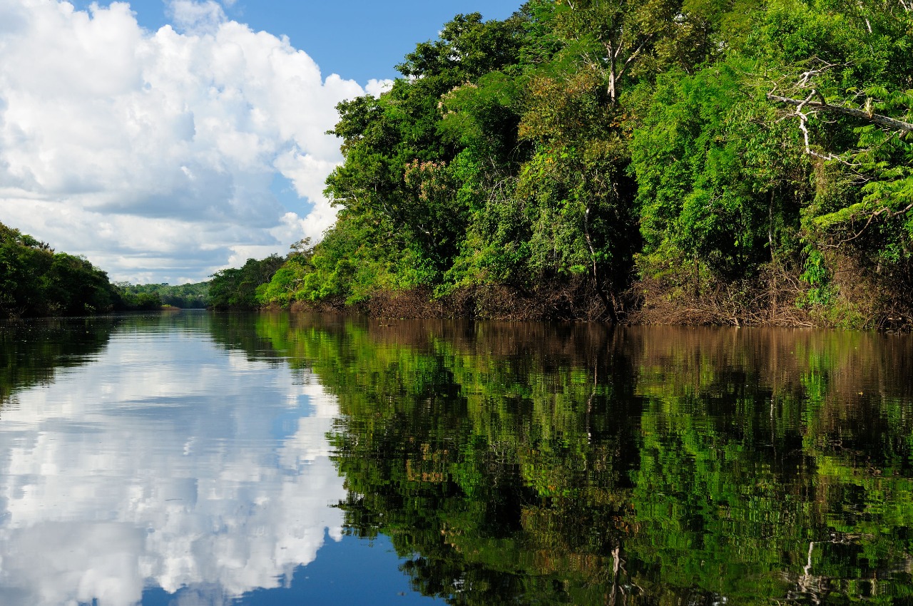 Amazônia uma das 7 maravilhas da Natureza