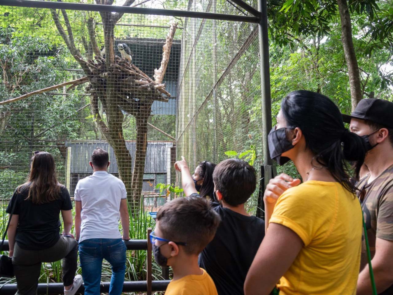 Itaipu Refuge as a tour option